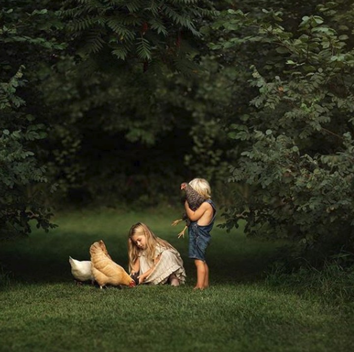 <p>Danielle dan keluarganya tinggal di rumah dengan lahan yang luas dan terdapat ladang di sekitarnya. Main bareng hewan pun jadi 'makanan sehari-hari' si kecil. (Foto: Instagram @littlefarmphotography)</p>
