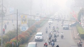 BNPB Prediksi Siklus Karhutla di Riau pada Maret dan Juni