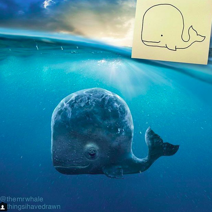 <p>Ceritanya si paus berenang dengan damai. (Foto: Instagram/ @thingsihavedrawn)</p>