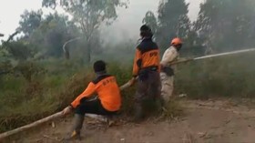 Kebakaran Hutan Mulai Berkurang