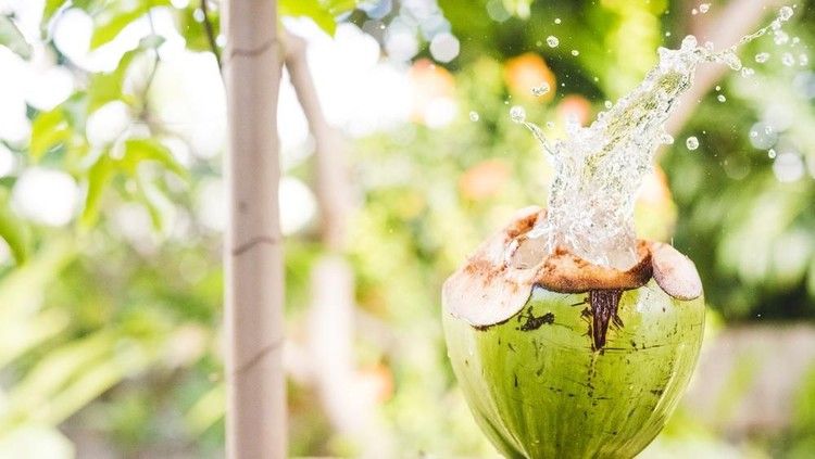Manfaat air kelapa untuk bayi sangat bagus karena mengandung beberapa nutrisi yang diperlukan. Namun, Bunda harus tahu risiko air kelapa yang diberikan.