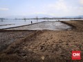 Pemerintah Waspadai Kemarau Panjang Terhadap Inflasi