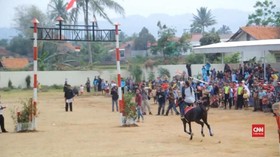 VIDEO: Saptonan, Tradisi Kuningan Sebagai 'Kota Kuda'