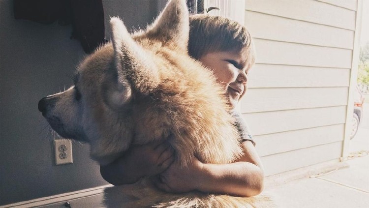 Balita ini tersedak saat tidur dan nyawanya terancam. Namun, seekor anjing berhasil menyelamatkannya, Bun. Gimana ceritanya?