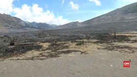 VIDEO: Kebakaran di Kawasan Wisata Gunung Bromo