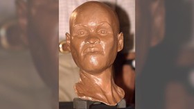 Kebakaran Museum Brasil Hancurkan Fosil Manusia 12 Ribu Tahun