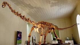 Studi: 2,5 Miliar Dinosaurus T-Rex Pernah Hidup di Bumi