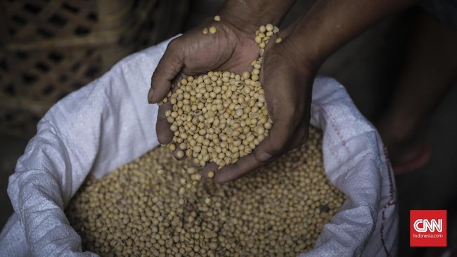 KPPU mencatat harga kedelai di Sumatera Utara melonjak sejak awal Desember 2020 karena kenaikan ongkos kirim dan jadwal pengiriman yang tidak teratur.