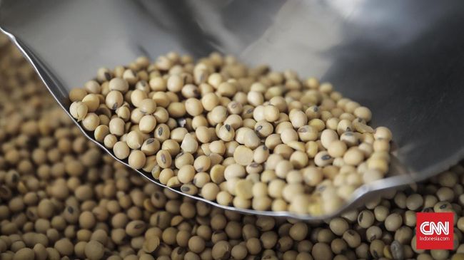 Kandungan protein terbaik yang ada di dalamnya membuat manfaat kedelai bisa dirasakan dari segala sisi.