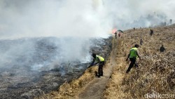 5 Hari Api Belum Padam, Kondisi Bromo Bikin Prihatin