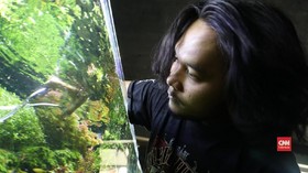 Cerita Asep Memilih Aquascape
