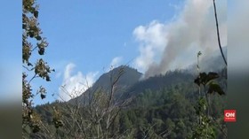 VIDEO: Gunung Lawu Kebakaran, Petugas Sulit Padamkan Api