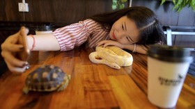 FOTO: Kafe Reptil di Kamboja