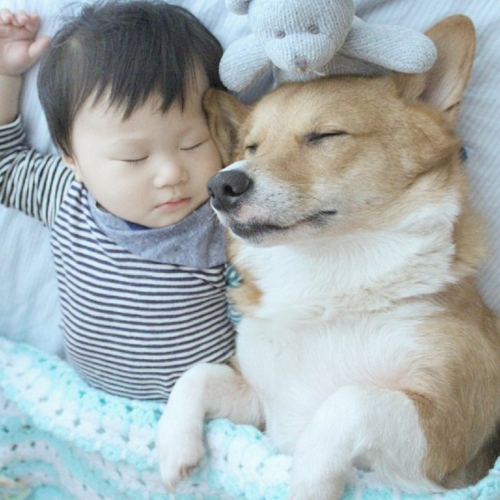 <p>Ini dia Hugh dan anjing kesayangannya yang bernama MJ. Melihat Hugh dan MJ tidur seperti ini rasanya hati adem banget nggak sih, Bun? He-he. (Foto: hugh_mj)</p>