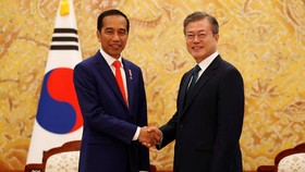 Enam Industri Korsel Janji Parkir Duit US$446 Juta di RI