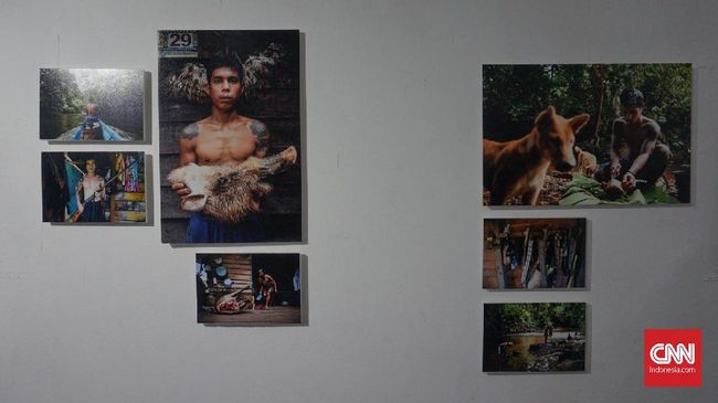 Sebuah pameran foto menunjukkan budaya tato Dayak Iban yang dilakukan turun temurun tergerus zaman dan berjuang bertahan dan kembali dengan apa yang ada.
