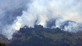 Kebakaran Melanda Hutan Lereng Gunung Sumbing