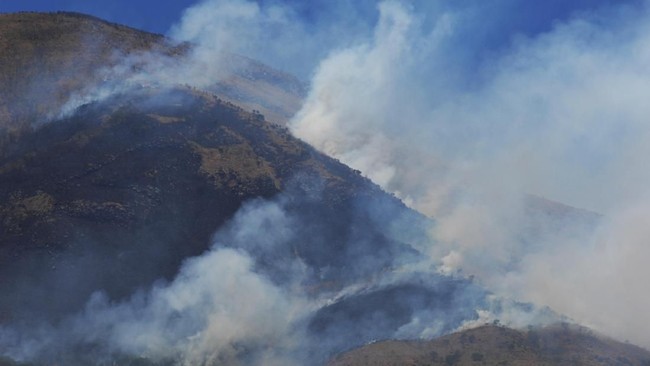 Kebakaran lahan di Gunung Ciremai, Jawa Barat, sudah memasuki hari ke-12, namun belum bisa dipadamkan dan telah menghanguskan 1.000 hektare hutan.