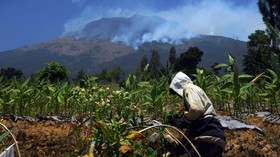 Sisir Api di Gunung Sumbing, BNPB Kerahkan 100 Personel