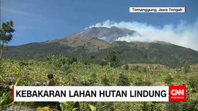 Pemadaman Kebakaran Hutan Lindung di Temanggung