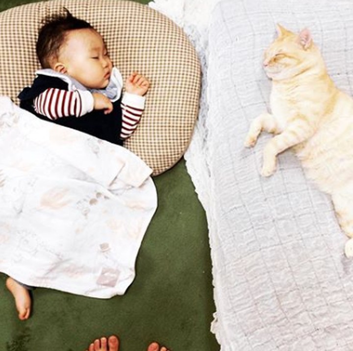 <p>Gaya tidurnya bisa kompak gini sih, hi-hi-hi. (Foto: Instagram @hattori_7)</p>