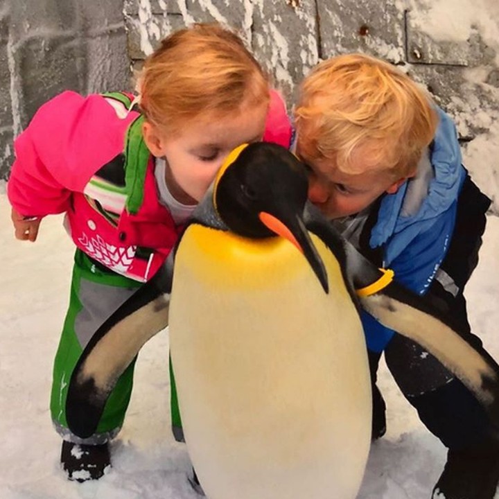 <p>Muach! Ciuman untuk pinguin. (Foto: Instagram @hshprincesscharlene)</p>