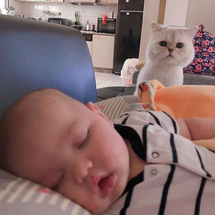 <p>Mungkin si manis ingin memastikan apakah teman manusianya sudah bangun atau belum, he-he-he. (Foto: Instagram @alistair.laird)</p>