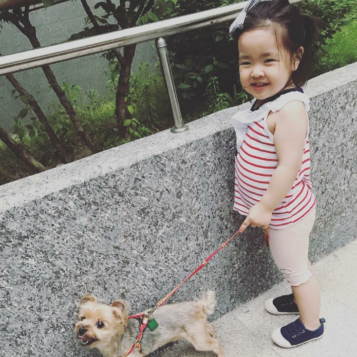 <p>Lani punya anjing peliharaan ya nggak kalah lucu, Bun. (Foto: Instagram/dancingmulgogi)</p>