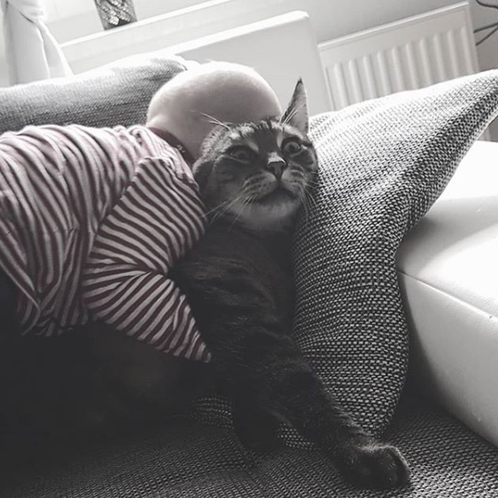 <p>Wah, kucingnya shock karena dipeluk terlalu erat. (Foto: Instagram @noch.so.ne_muddi)</p>