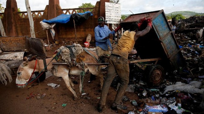 FOTO: Melawan Sampah Bersama Keledai di Mali