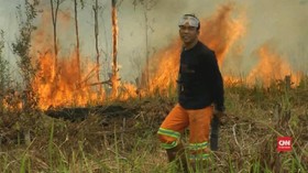 VIDEO: Satgas Palangka Raya Kewalahan Hadapi Karhutla