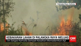 Karhutla di Palangka Raya Kian Meluas