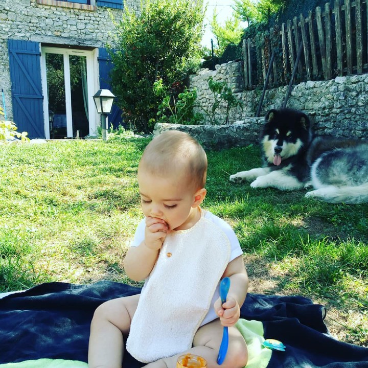<p>Hmm, sepertinya ada yang ngiler nih melihat tuan kecilnya maka. (Foto: Instagram/pau_jo_et_loup)</p>
