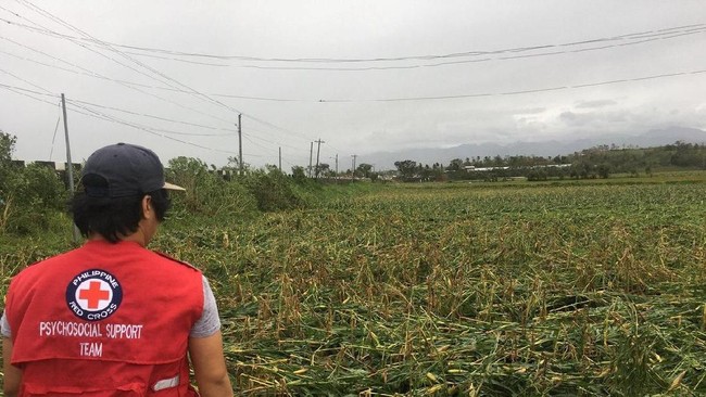Saat Topan Mangkhut menerjang Filipina, para petani di daerah Baggao, Luzon, mempertaruhkan nyawanya untuk tetap tinggal dan menjaga ladang mereka.