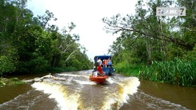 VIDEO: Jejak Petualang Weekend Episode Kalimantan Tengah