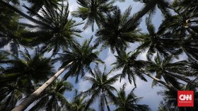 LIPI Kembangkan Baterai Lithium dari Tempurung Kelapa