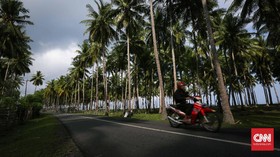 BNPB Minta Pemda Tanam Pohon di Pantai Selat Sunda