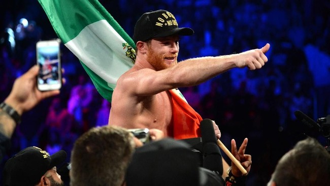 Saul 'Canelo' Alvarez menyatakan dirinya masih menyimpan keinginan untuk melakukan rematch lawan Floyd Mayweather Jr. bila kesempatan itu tersedia.
