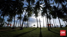 Kelapa Cuma Tumbuh di Pantai, Mitos atau Kurang Piknik?