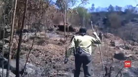 VIDEO: Penelusuran Bekas Kebakaran Hutan di Gunung Sindoro