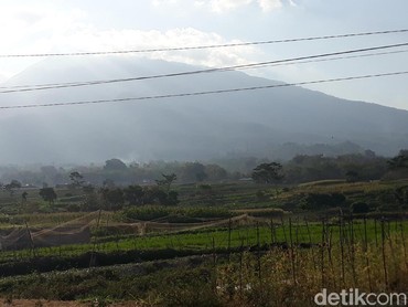 Daftar 5 Gunung Terangker di Indonesia