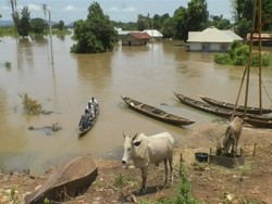 150 Orang Tewas Usai Banjir Bandang Terjang Nigeria