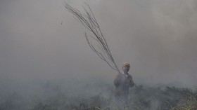 Angin Kencang, Kebakaran Hutan dan Lahan di Riau Meluas