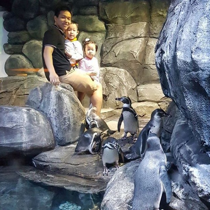 <p>Bermain bersama pinguin dengan Richard dan Richelle. [Foto: Instagram @hendrasansan]</p>