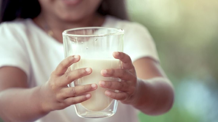Closeup shot of a glass of milk on a dairy farm with cattle grazing in the background