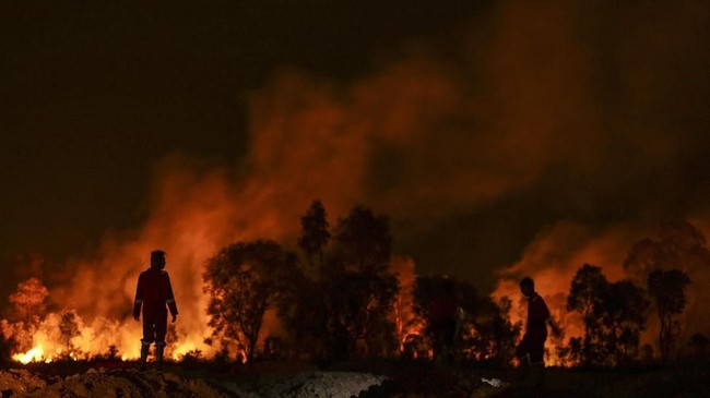 Hutan seluas 8 hektare di Kabupaten Sukabumi, Jawa Barat, terbakar pada Sabtu (9/11). Petugas gabungan yang dibantu relawan SAR berupaya memadamkan api.