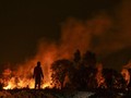 Hutan Seluas 8 Hektare di Sukabumi Terbakar