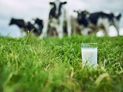 Kisah Pendiri Ultra Milk, Bangun Bisnis dari Usaha Rumahan