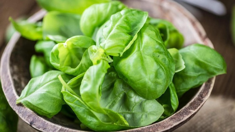 Portion of fresh Basil leaves (selective focus; close-up shot) on wooden background