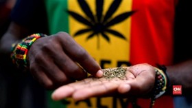 VIDEO: Afrika Selatan Kini Bebas Konsumsi Ganja